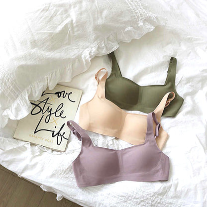 Pack 3 Dream Bra